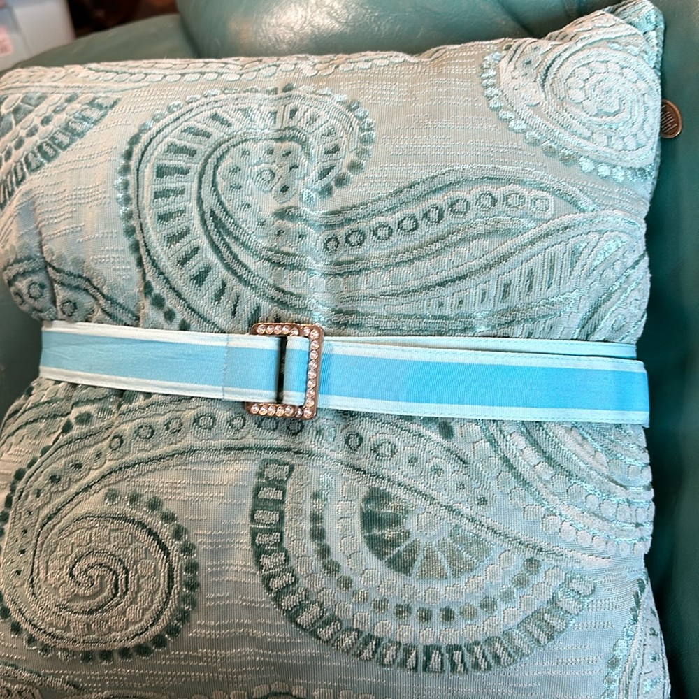 Aqua Ribbon Belt